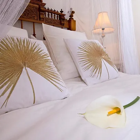 La Casa De Onkar Lodge Teror